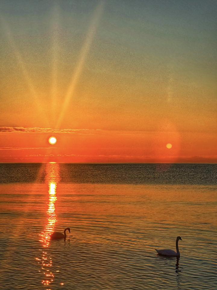 angelicaio81153's tweet image. Sailing into a Danube Delta sunset where the sky kisses the water and the world becomes a painted dream . 

Fantastic Surise , Danube Delta Romania 
#artistic #landscape #photography