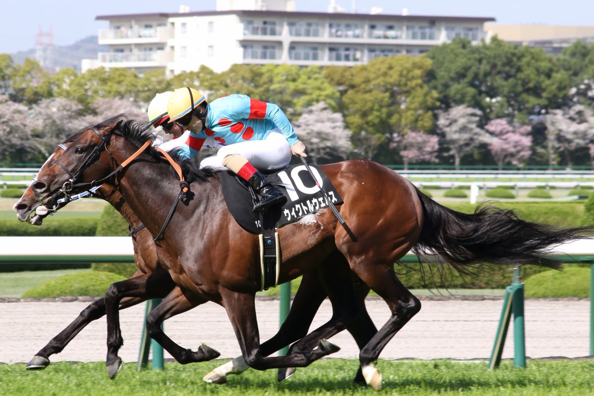 taka.m(分場) tweet media