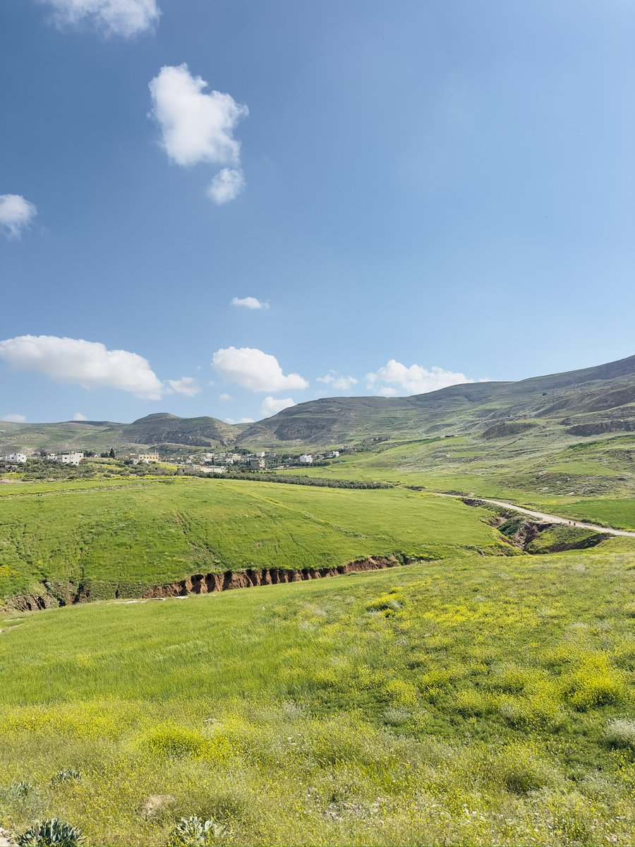 AHMAD: THE END🪫 tweet media