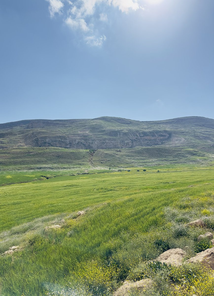 AHMAD: THE END🪫 tweet media