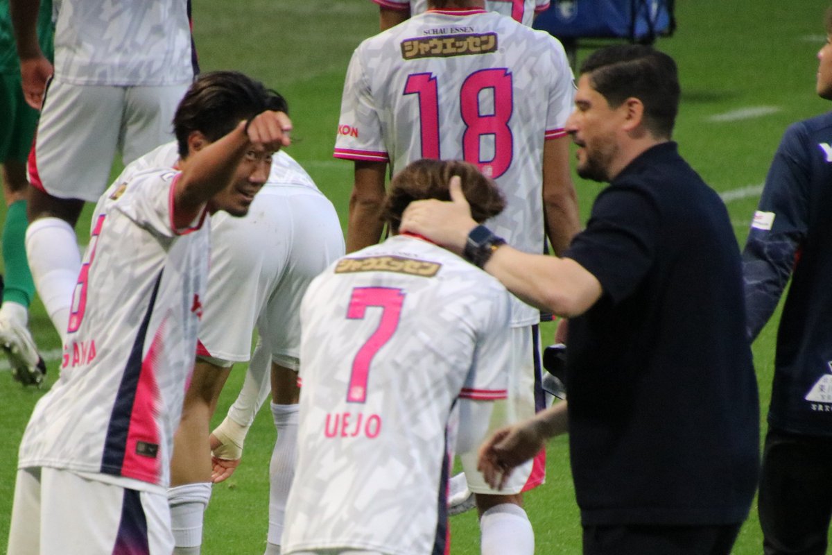 きょ。 tweet media