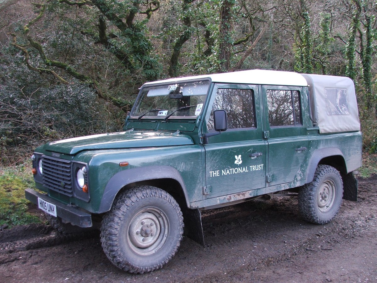 Artist Cyclist 🚴😷 tweet media