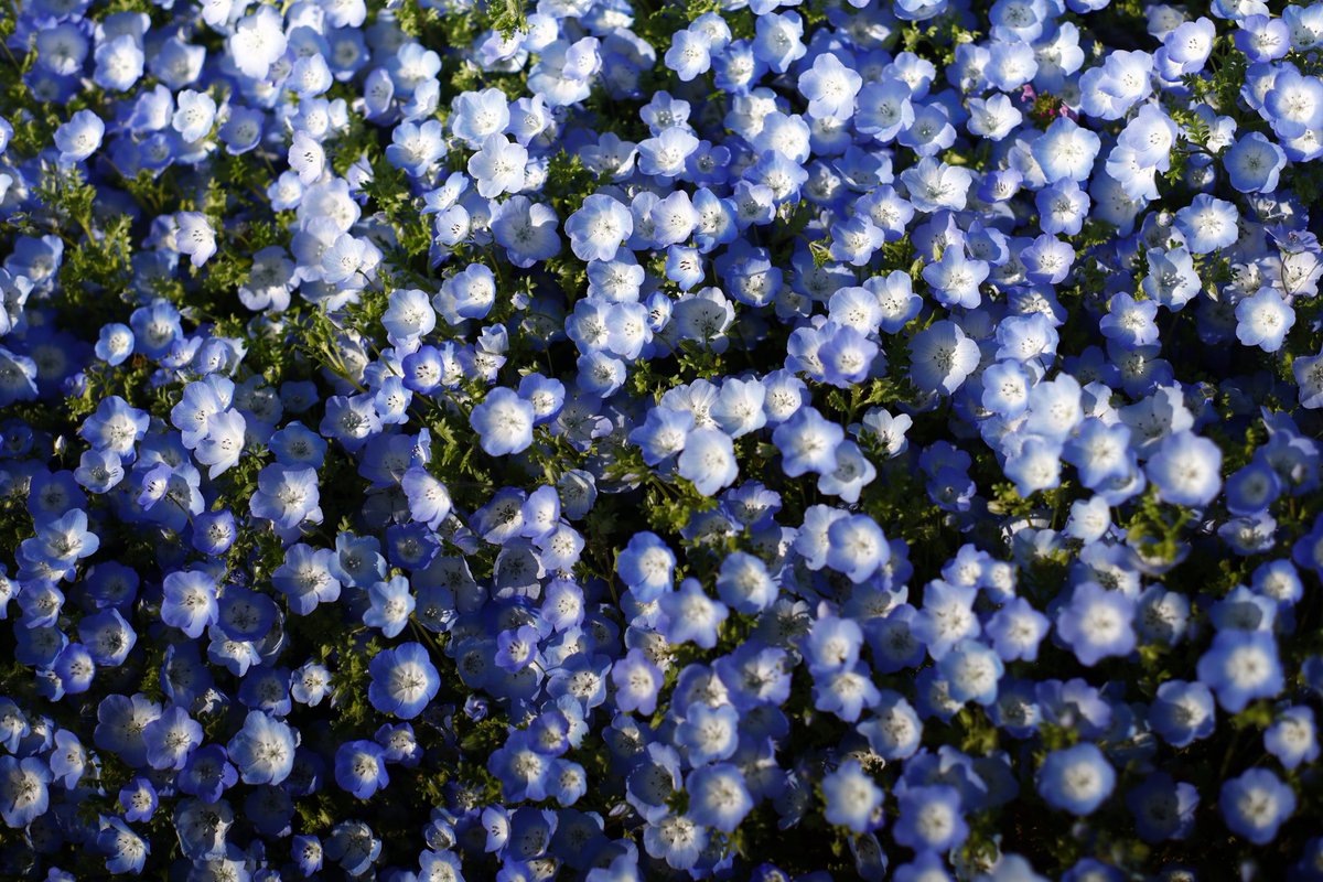 あやかNB📷∞ tweet media