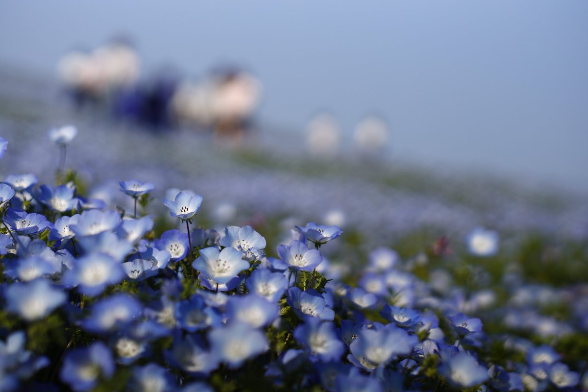 あやかNB📷∞ tweet media