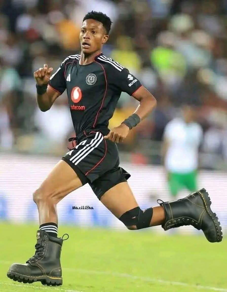 Constitution First 🇿🇦 tweet media