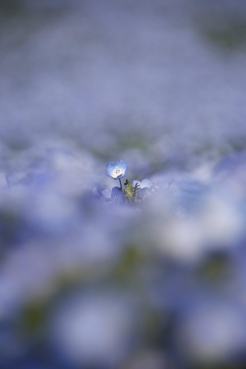 あやかNB📷∞ tweet media