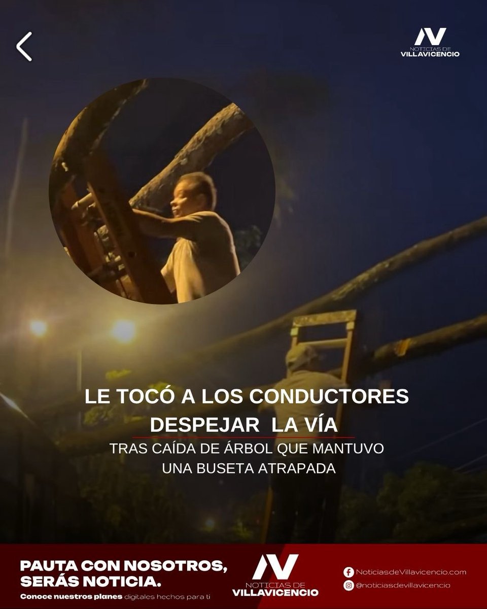 A machete, conductores intentaron habilitar la vía hacia Catama tras la caída de un árbol que terminó sobre una buseta de servicio público.
Ante la falta de atención inmediata, que mantuvo el vehículo inmovilizado desde las 2:00 p.m. obraron por su propia cuenta.