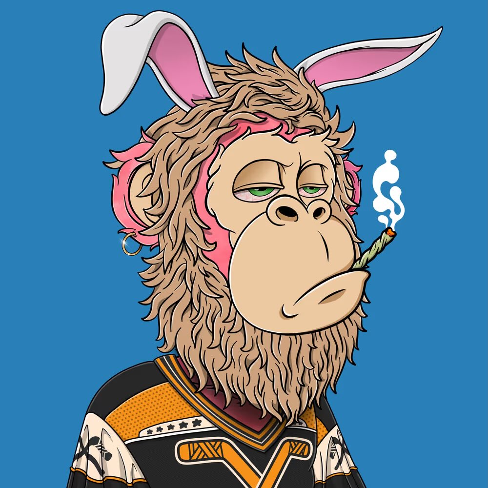 DDishOZ👑 tweet media