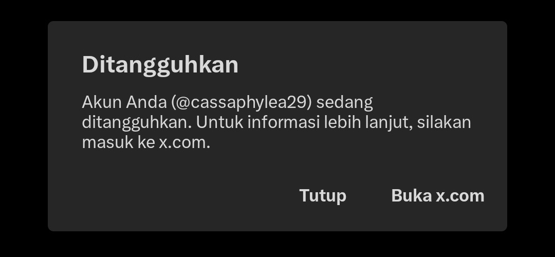 ⊹ Carphelia (mention after dm) tweet media