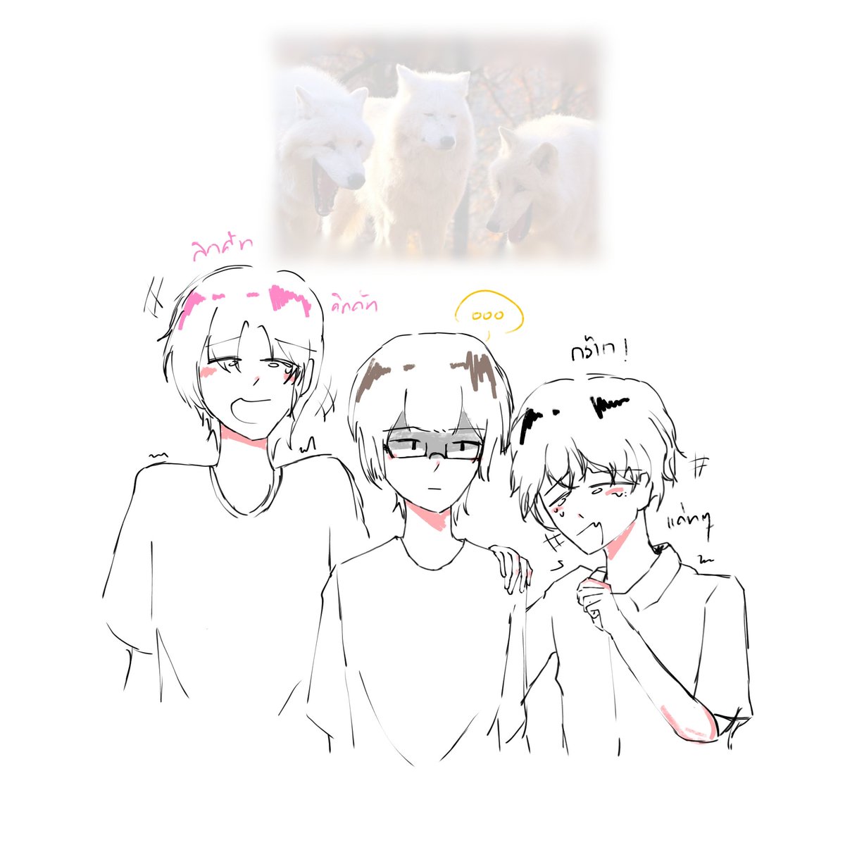 ocean 🪸 tweet media