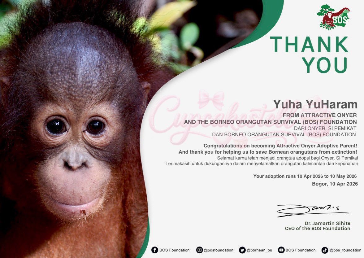 Cupcakestell 🤍🧁 tweet media