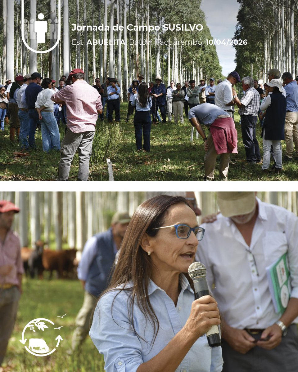 Sociedad Uruguaya de Silvopastoreo tweet media
