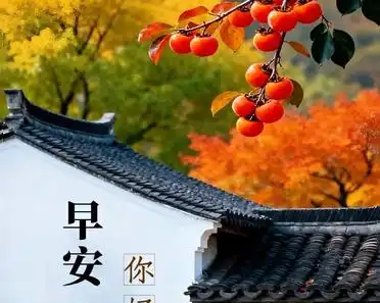 決算グラフ化芸人｜統計を学んでいたはずの化学系技術者化学メーカー勤務。材料開発。半導体材料系です tweet media