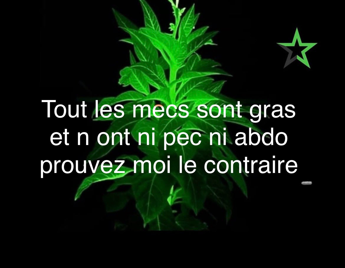 super connard 2.0 667K tweet media