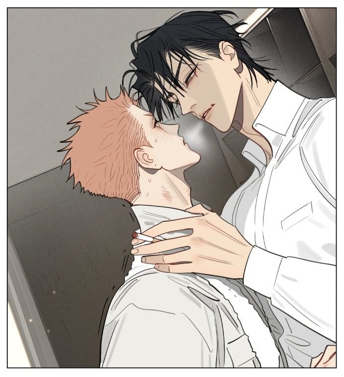 er_cactaceae's tweet image. s-su-surpriseee??????? #19days