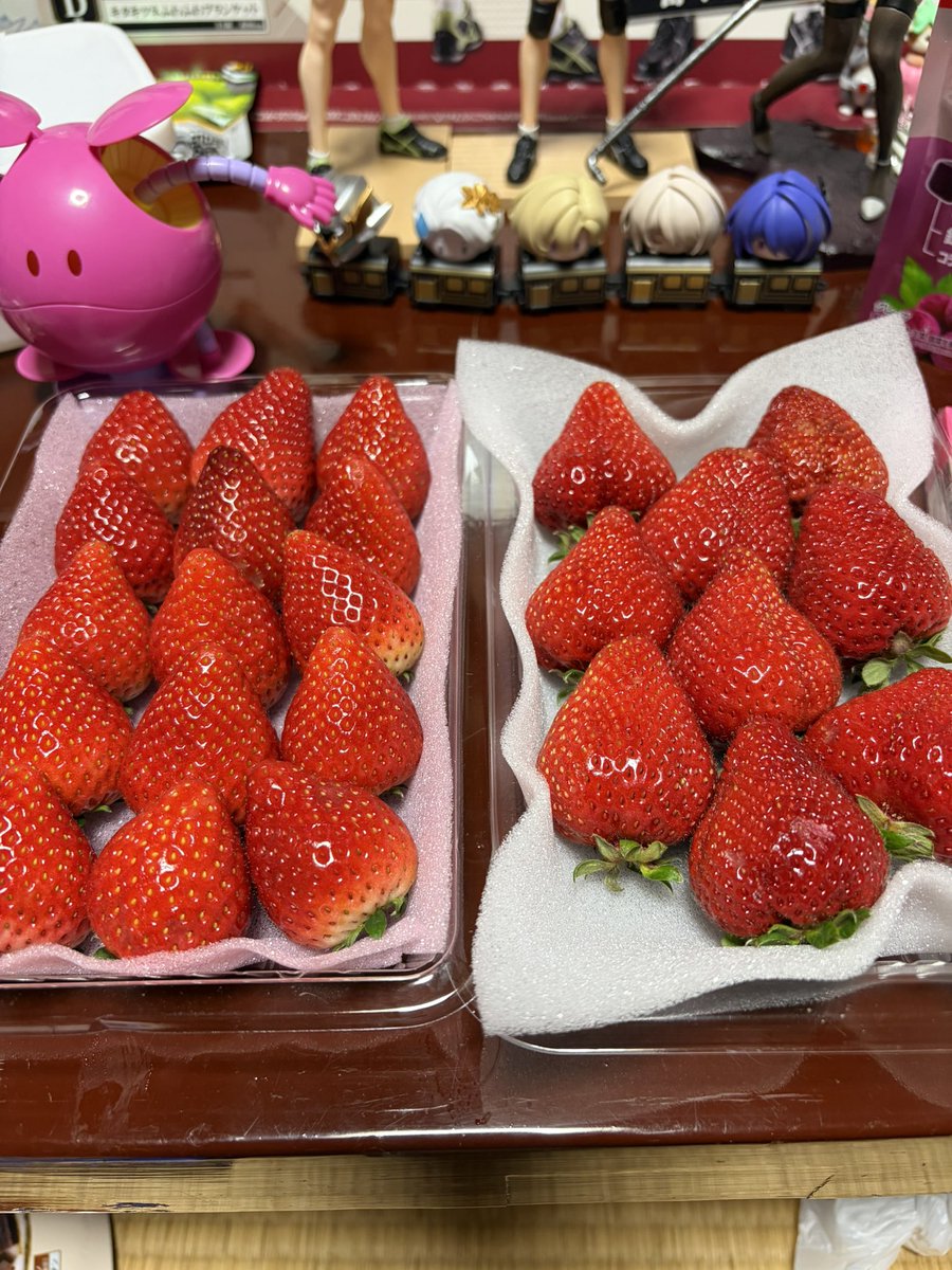 どてがわら tweet media