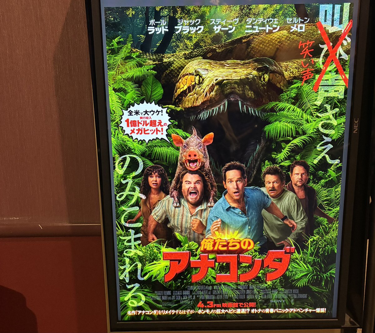 とみちゃん(みっくみん☺︎)🪭 tweet media