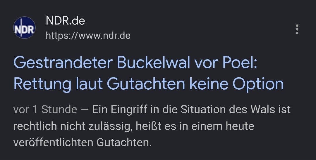 𝙎𝘼𝙆𝙄 🗯 tweet media