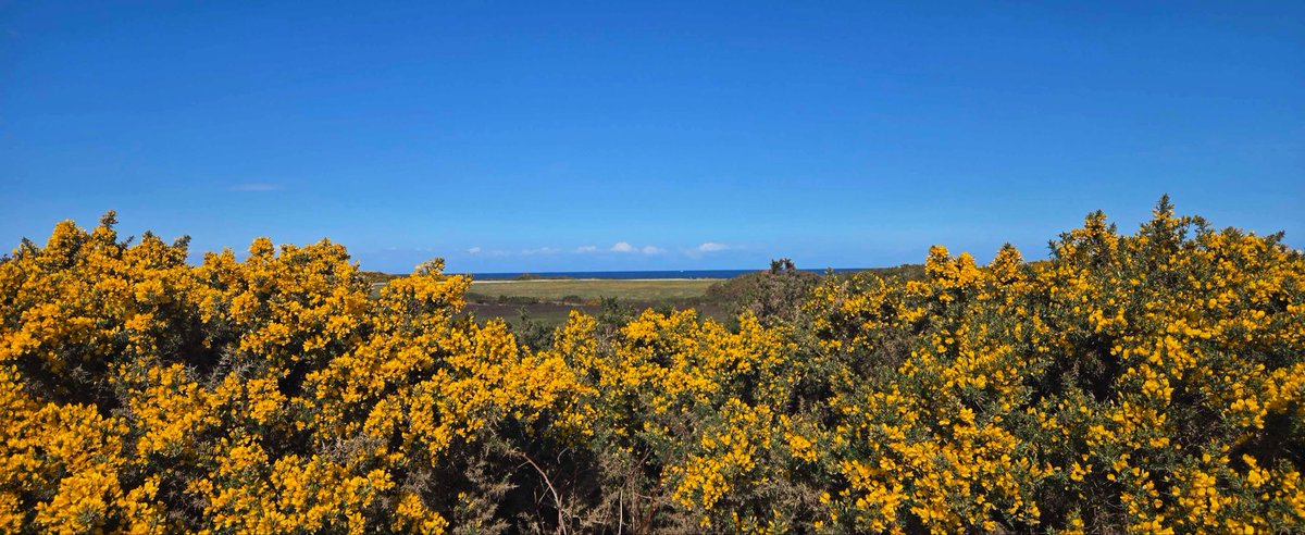 Spey Bay GC tweet media