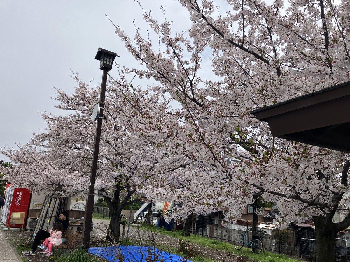 ムッシュ@5000万円からのFIRE計画 tweet media