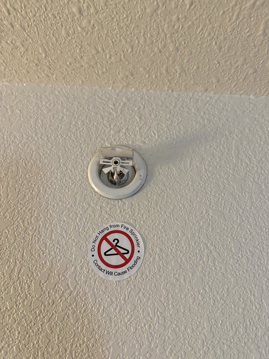 Steven Britton tweet media