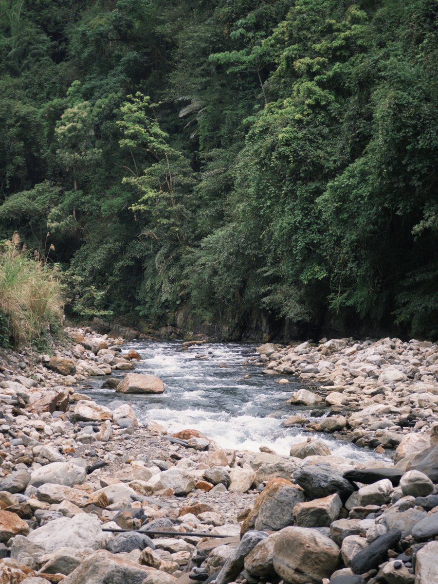 無聊男子🏕⛰🌿 tweet media