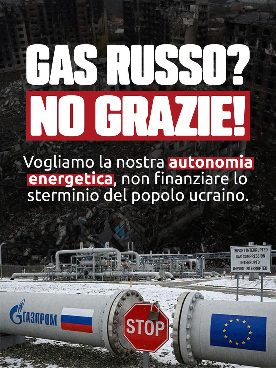 Loretta modenese in Sicilia👍 tweet media