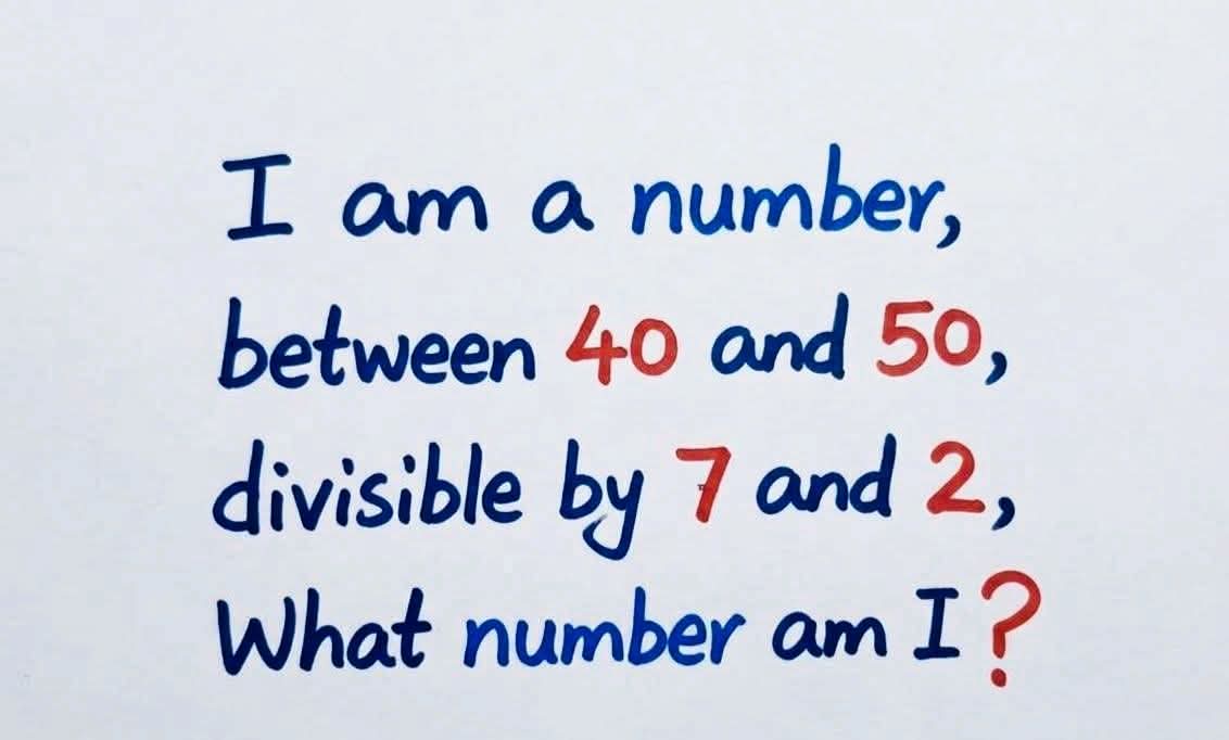 Lily 🇺🇸 tweet media