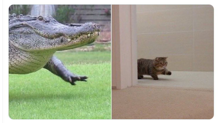 Dr.Silver tweet media