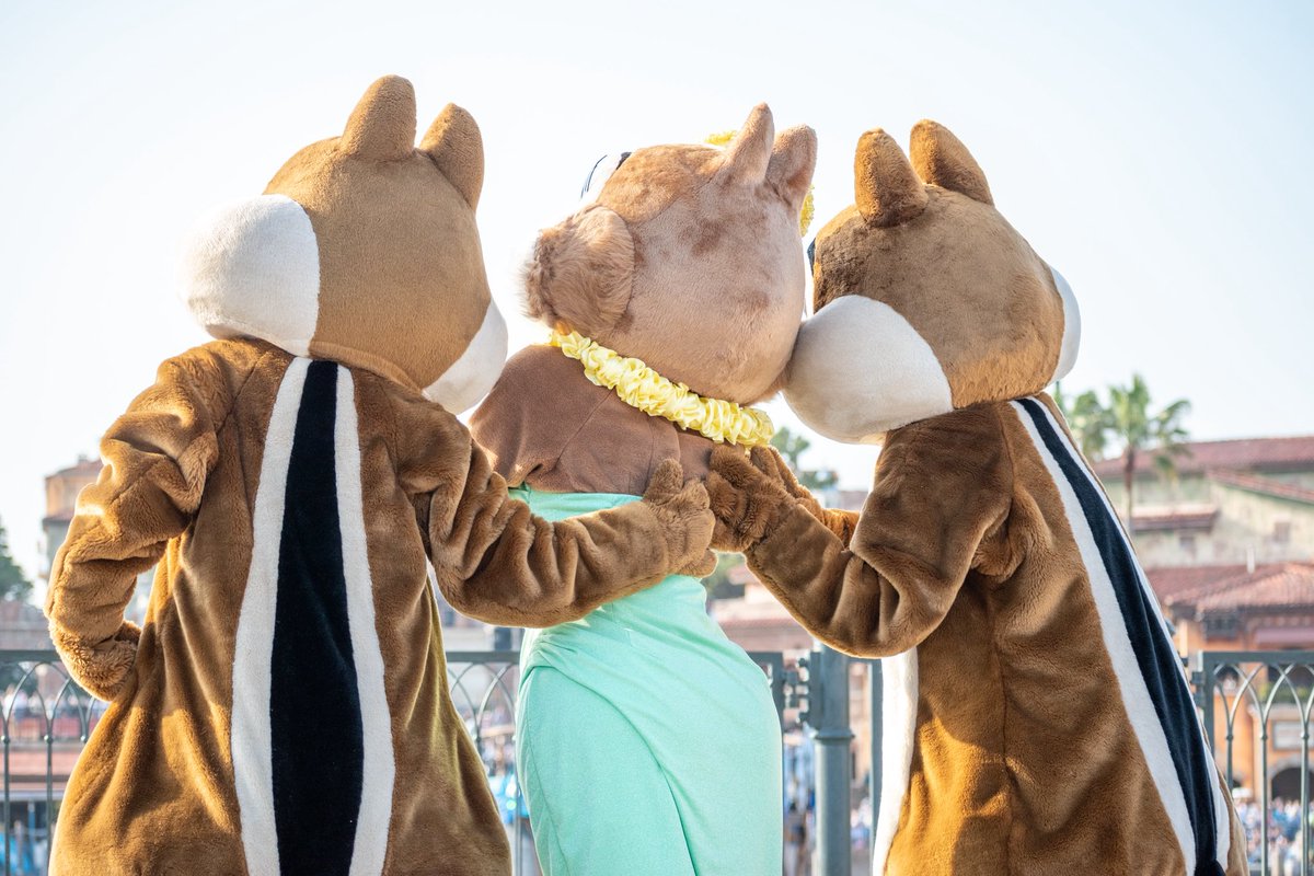 ILOVEMinniechan's tweet photo. チデクラ🐿💙リドで見れた🥹 https://t.co/FNJmLk3Qve