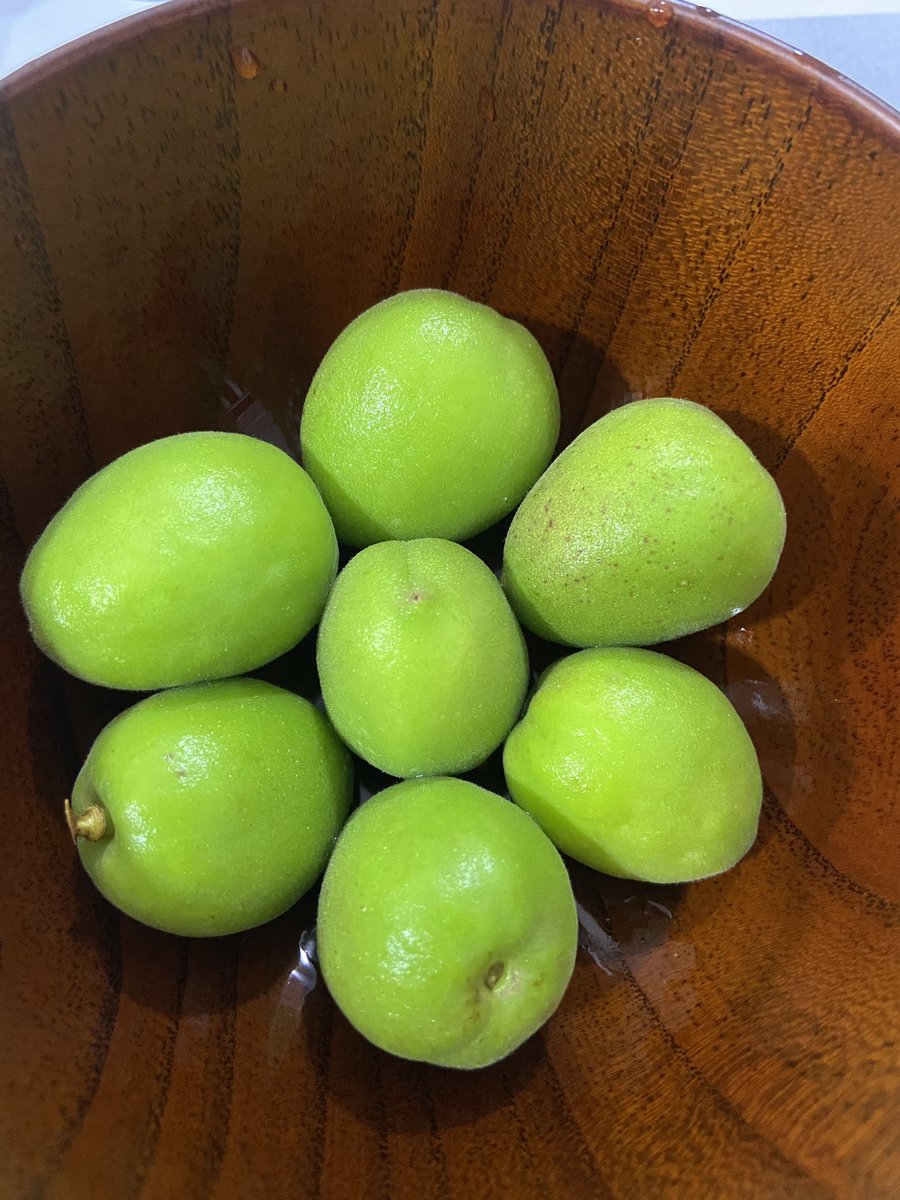 駒﨑万集 mashu komazaki tweet media