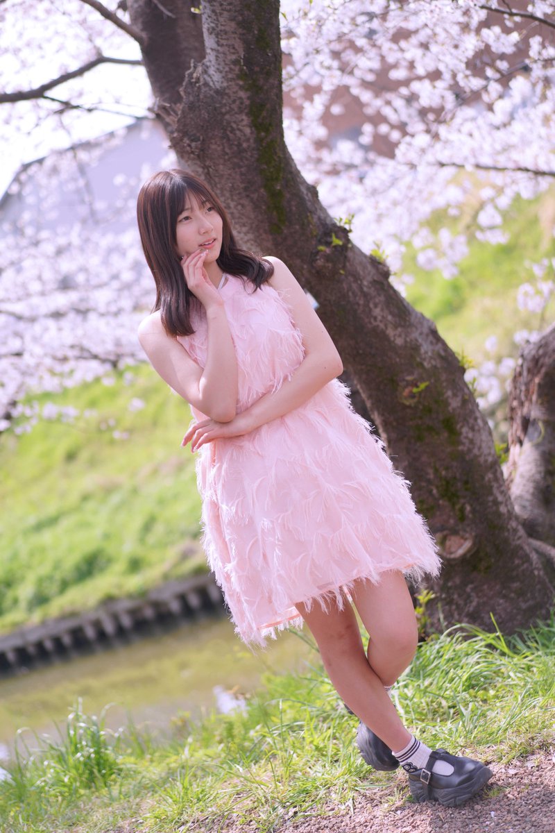 AY☆ tweet media