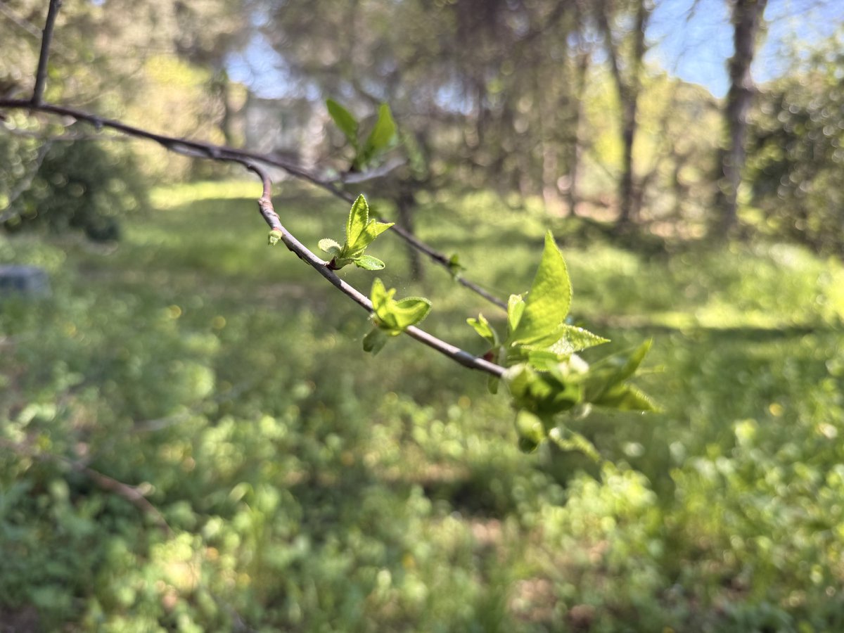 Raffaello Colosimo tweet media