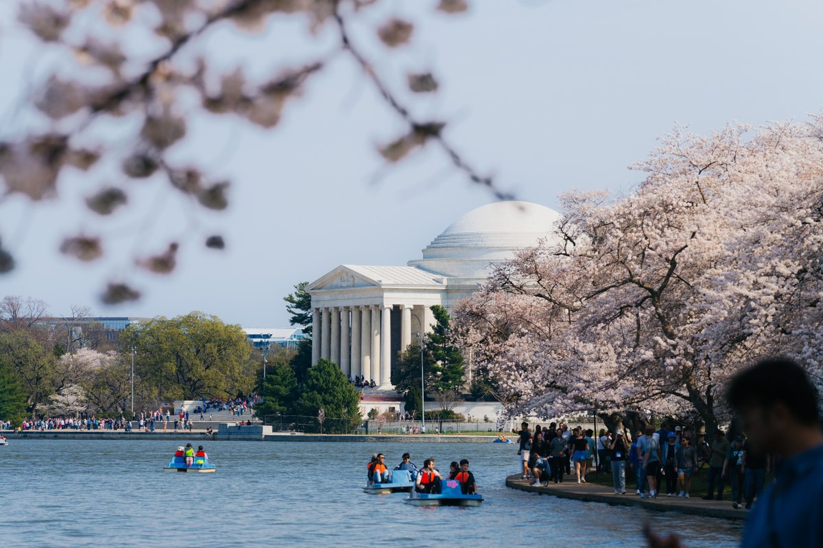washingtondc's tweet image. Spring in #WashingtonDC doesn’t have to cost a thing.✨

👣 Walk the Anacostia Riverwalk Trail
🐼 Visit the @NationalZoo 
🌸 Celebrate @CherryBlossFest
🌍 Experience Passport DC

What free activity are you doing?

🔗 bit.ly/4sjMkA0

📸: washingtondc #Only1DC