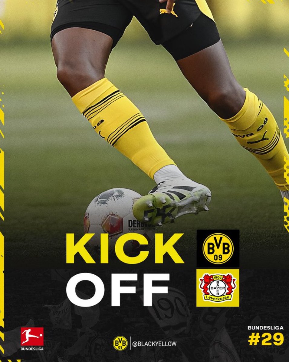 BVB Türkiye tweet media