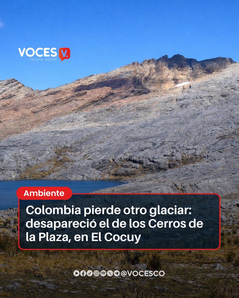 Voces tweet media