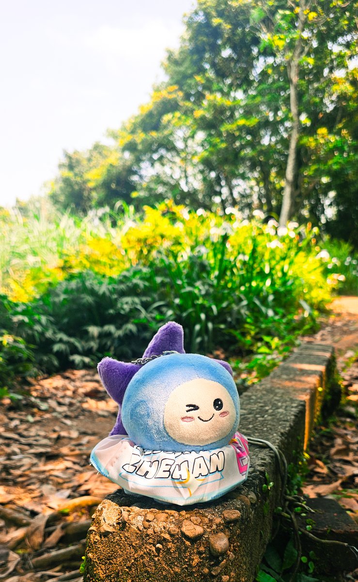 Amanda Xu (ZhangZhehan Fan) tweet media