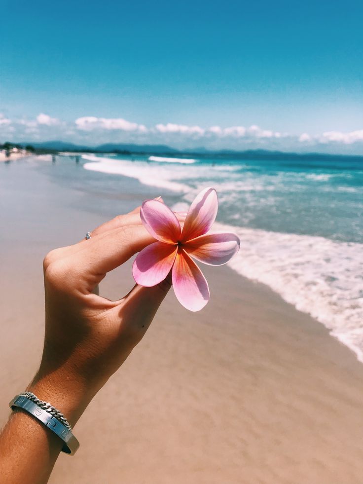 Hannah Wells tweet media