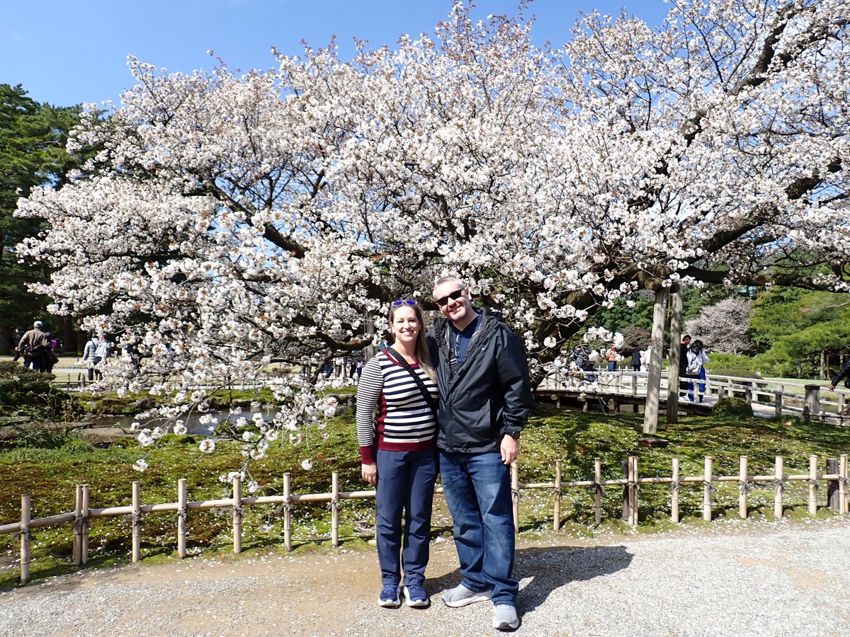 Sho Sasaki tweet media