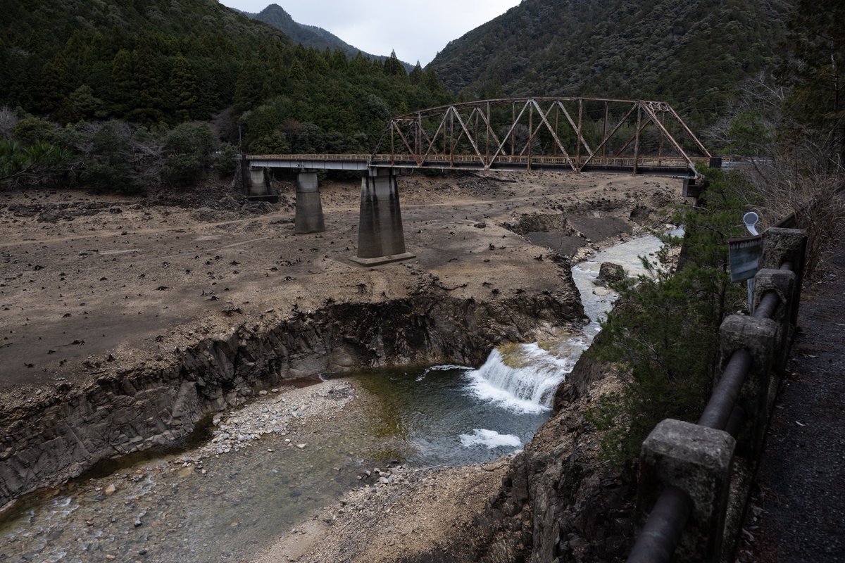 さらしな tweet media