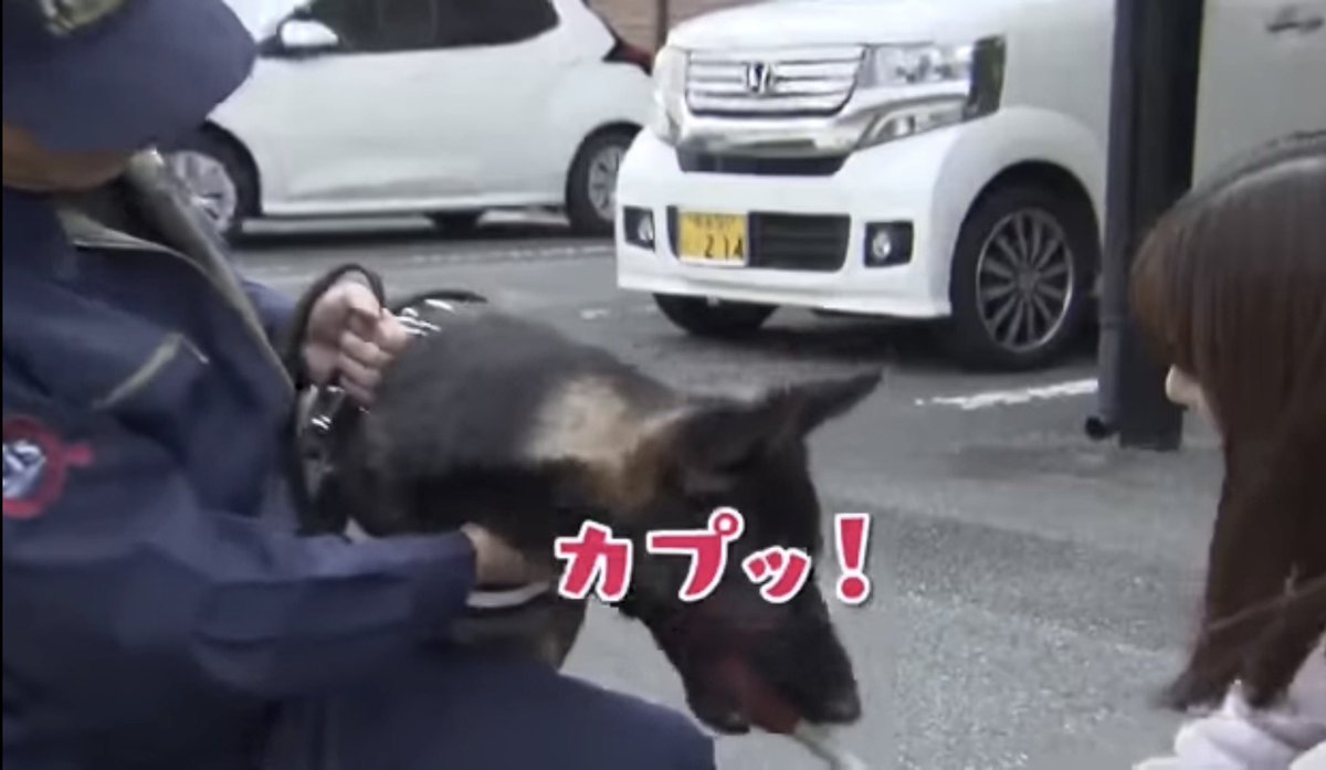 konomism tweet media