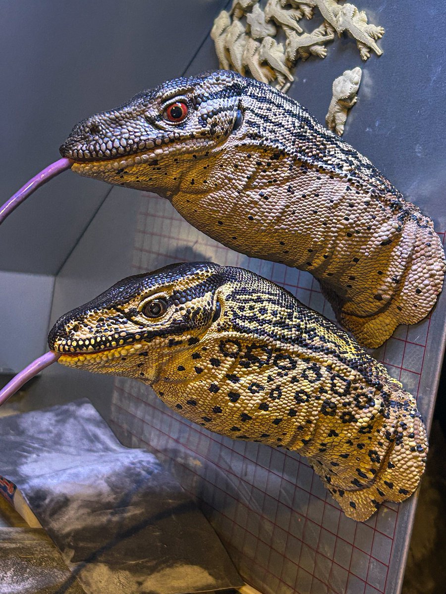 でんち (cellmate) tweet media