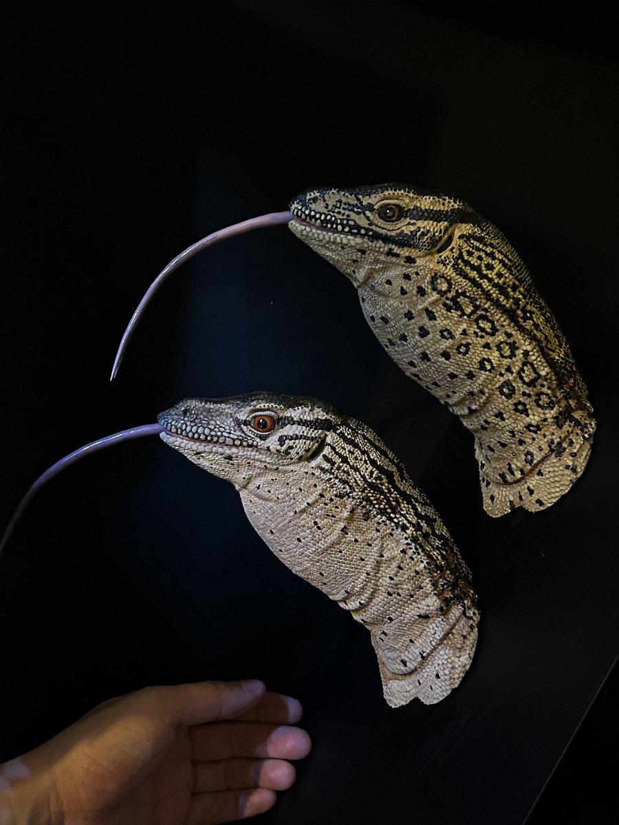 でんち (cellmate) tweet media