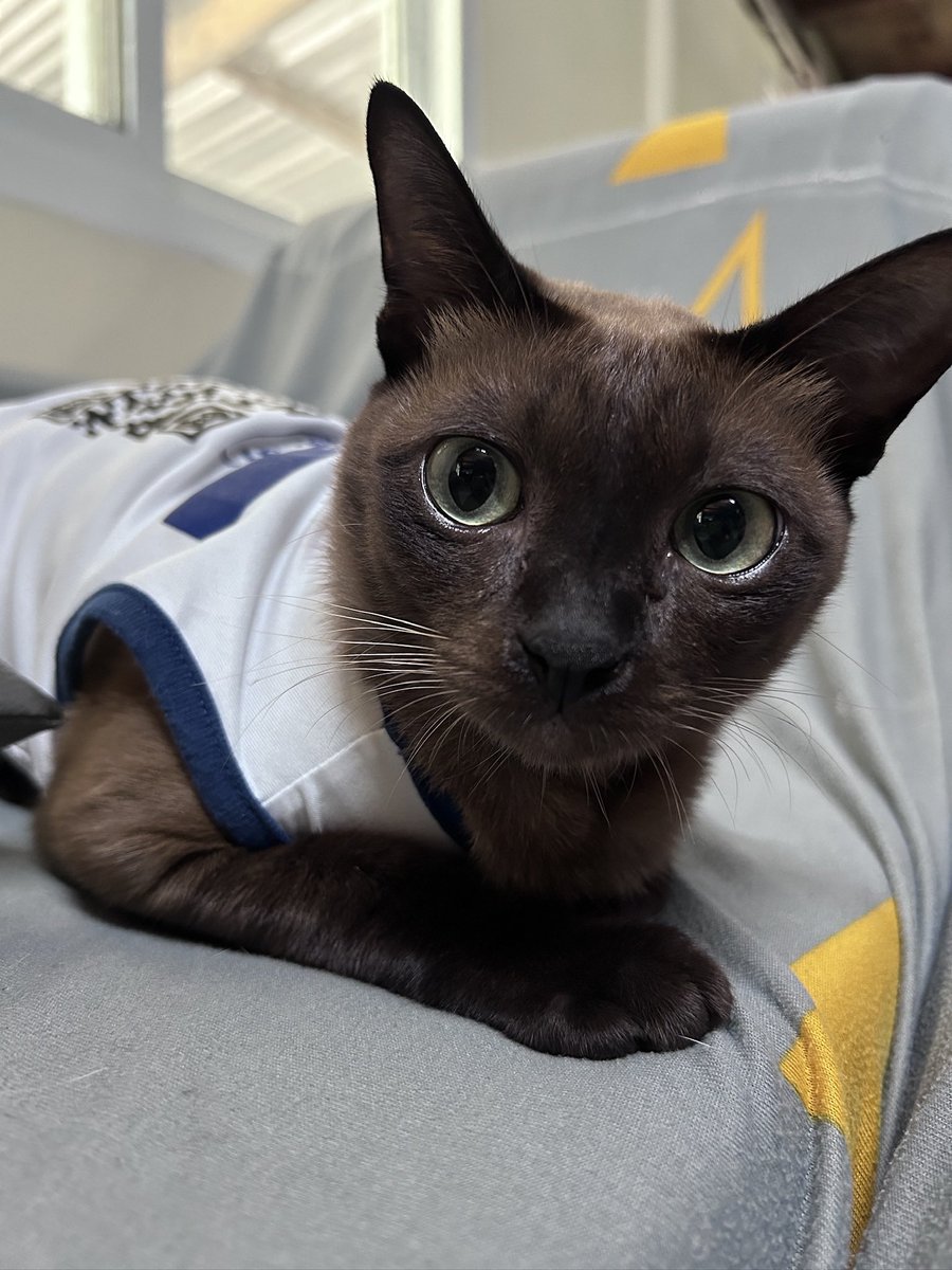 พม.♡𝜗𝜚° tweet media