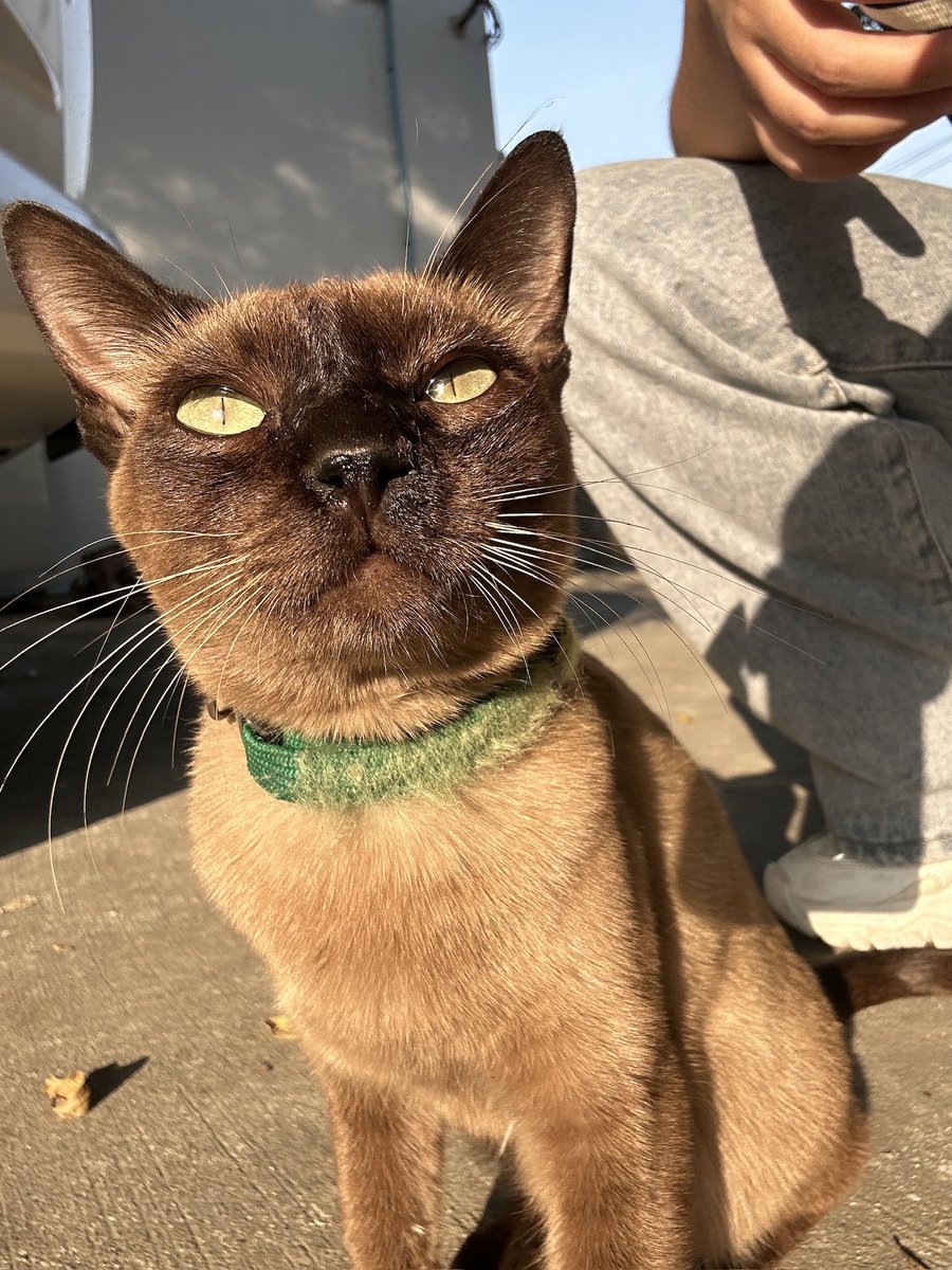 พม.♡𝜗𝜚° tweet media