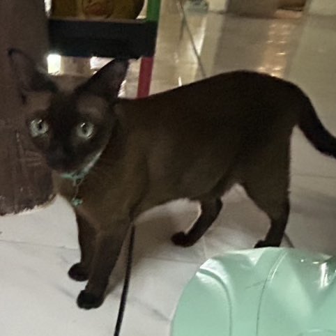 พม.♡𝜗𝜚° tweet media