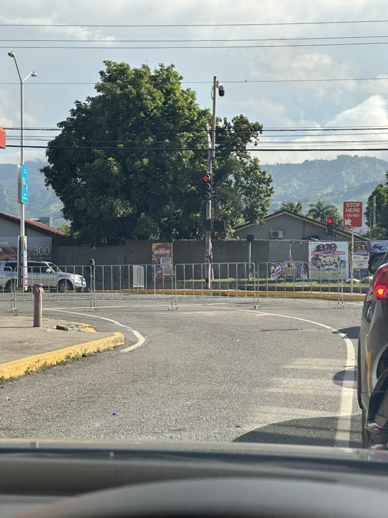 MATT CAMPS ⛺️🇯🇲 tweet media