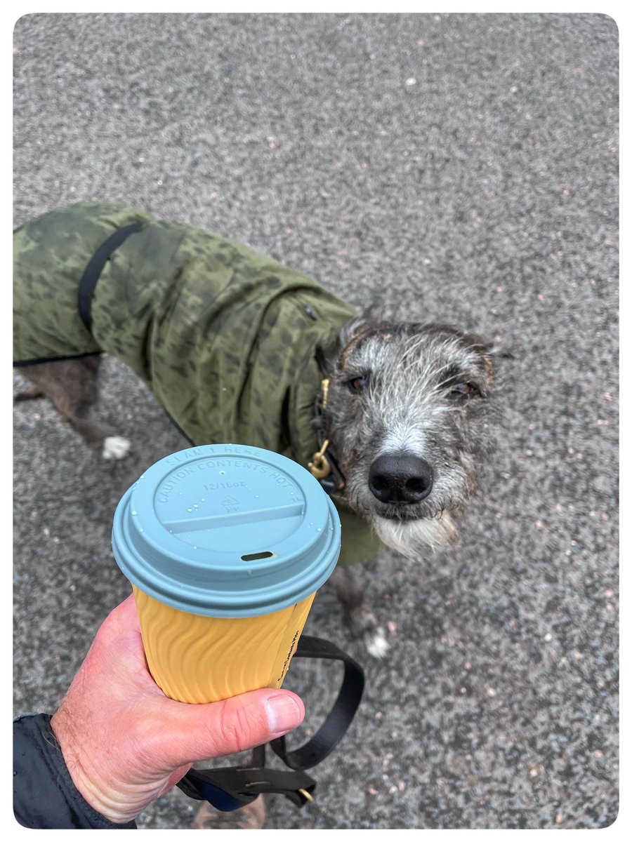 Flying Pig 🚁 tweet media