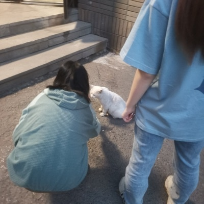 あいら tweet media