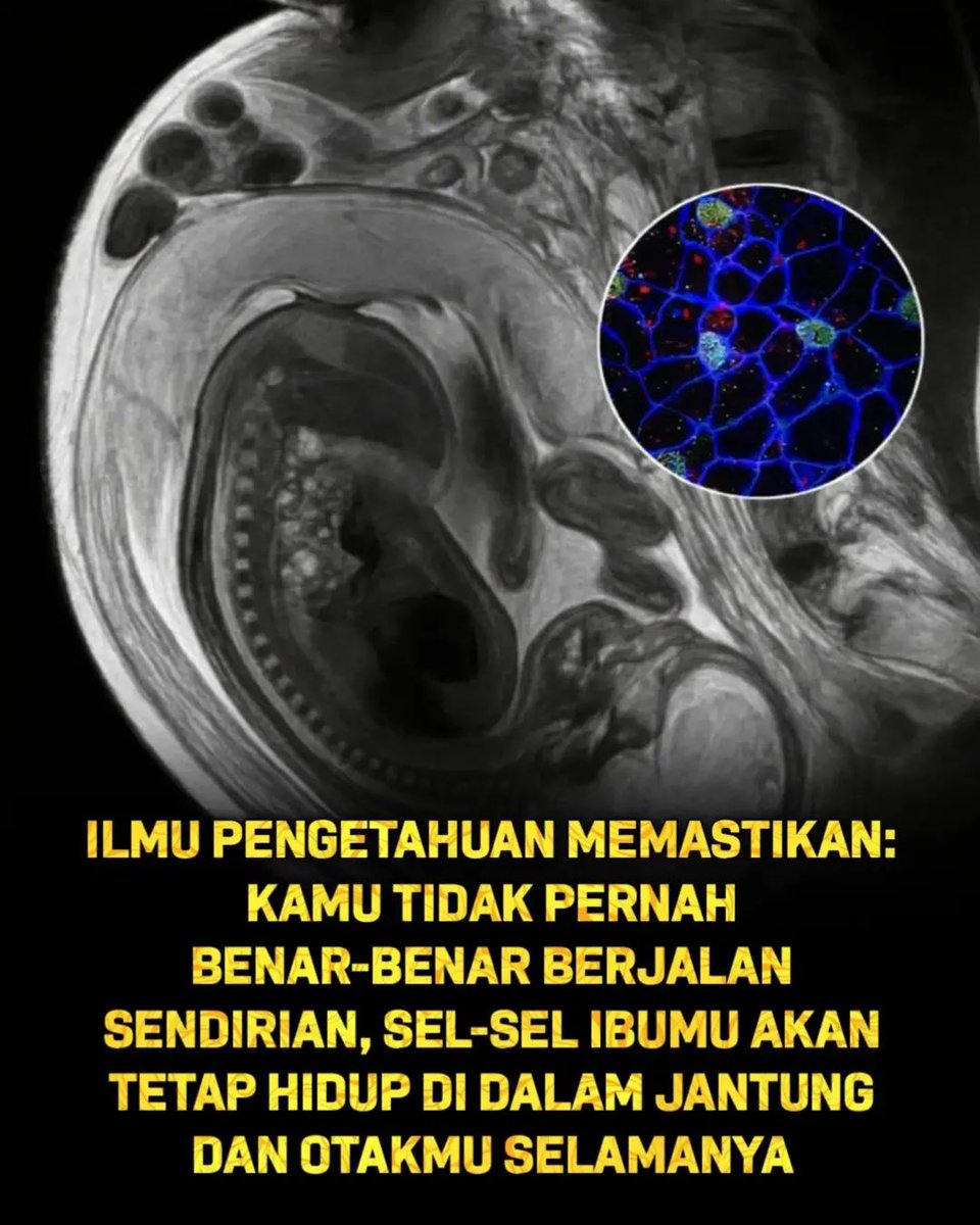 Perry_Rp00's tweet photo. .....maka, jangan melupakan ibu. https://t.co/iMYmjqP1XM